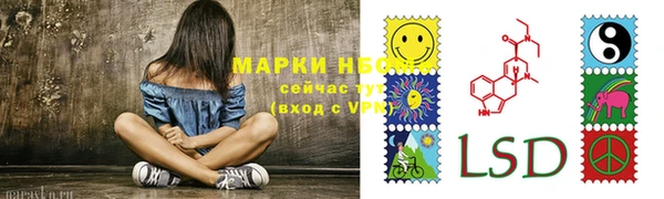 гашик Богородицк