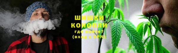 винт Богданович