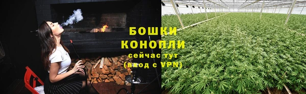 гашик Богородицк