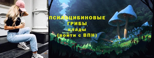 apvp Богородск