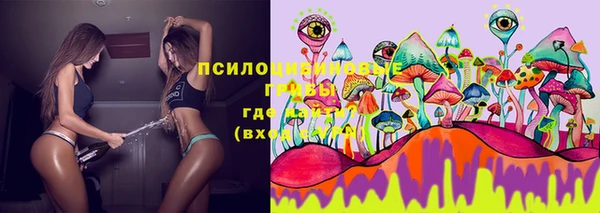 винт Богданович